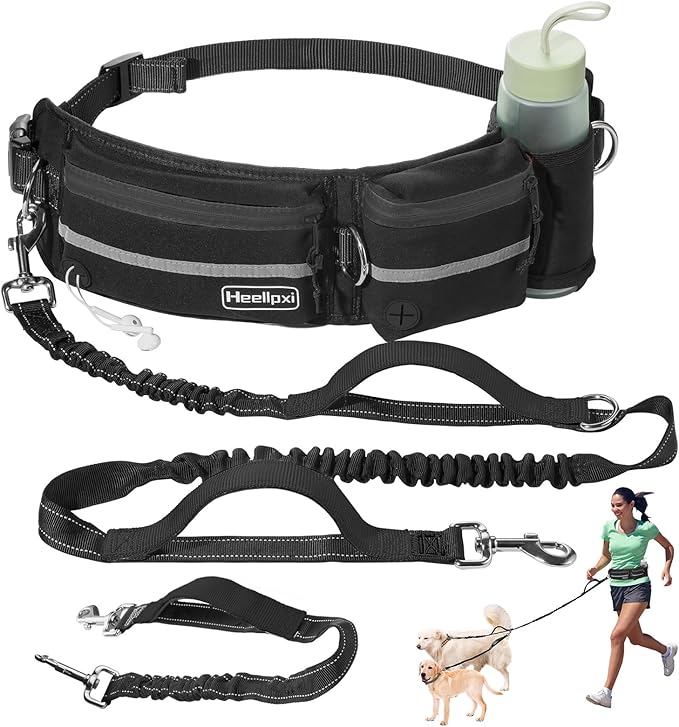 Hands-Free Dog Leash With Pouch, Waist Attachment for Walking Two Dogs, Reflective Stitching, Dual Handle, Bungee Retractable Running for Medium to Large Dogs Black