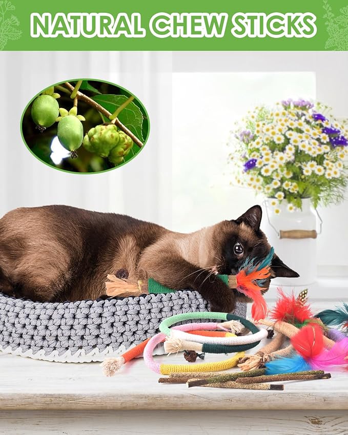 TINDTOP Cat Chew Toys, 12 Pack Silvervine Chew Sticks with 2 Pack Chew Ropes for Kittens Teeth Cleaning, Increase Appetite, Aggressive Chewers Cat Dental Toy