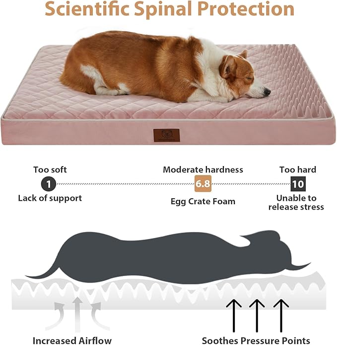 WNPETHOME Orthopedic XL Dog Bed for Crate, Waterproof Extra Large Dogs Bed with Removable Washable Cover, Multi-Needle Quilting Dogs Crate Bed