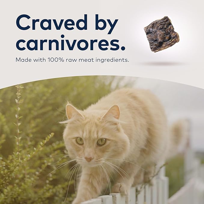 ZIWI Peak Air-Dried Cat Food – Chicken - All Natural, High Protein, Grain Free, Limited Ingredient w/ Superfoods (14oz)
