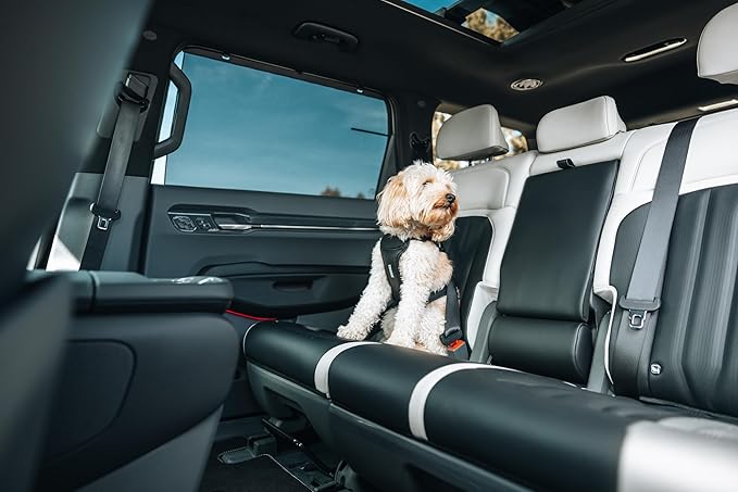 Thule Cappy Dog Harness M - Crash-Tested for Safety - Seatbelt passthrough - Adjustable & Easy to Clean - Padded Breathable mesh Panels - Leash Loop - Step-in Design