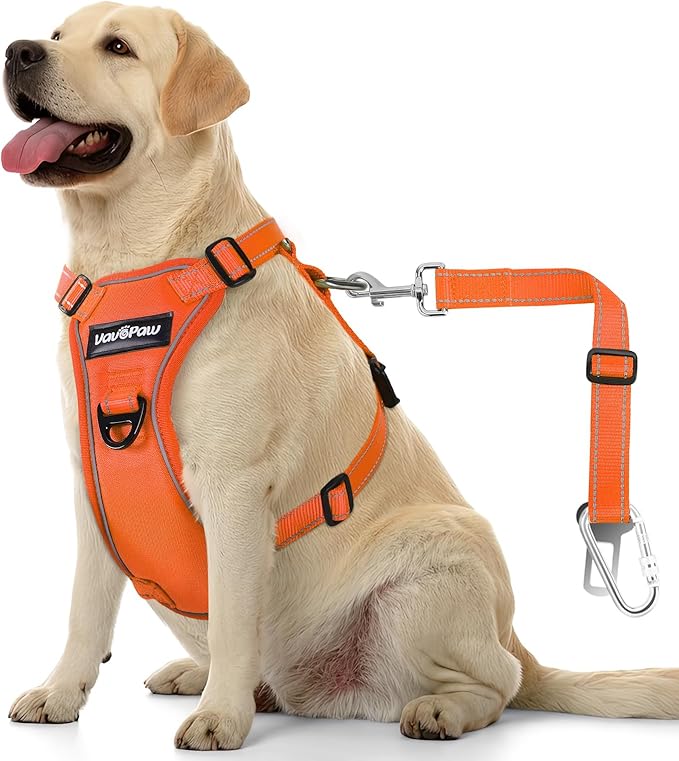 Dog Seat Belt Harness for Car, Dog Car Harness Adjustable Mesh Breathable & Dogs Seatbelt Safety Tether with Elastic Bungee for Small Medium Large Pets(Orange, XL)