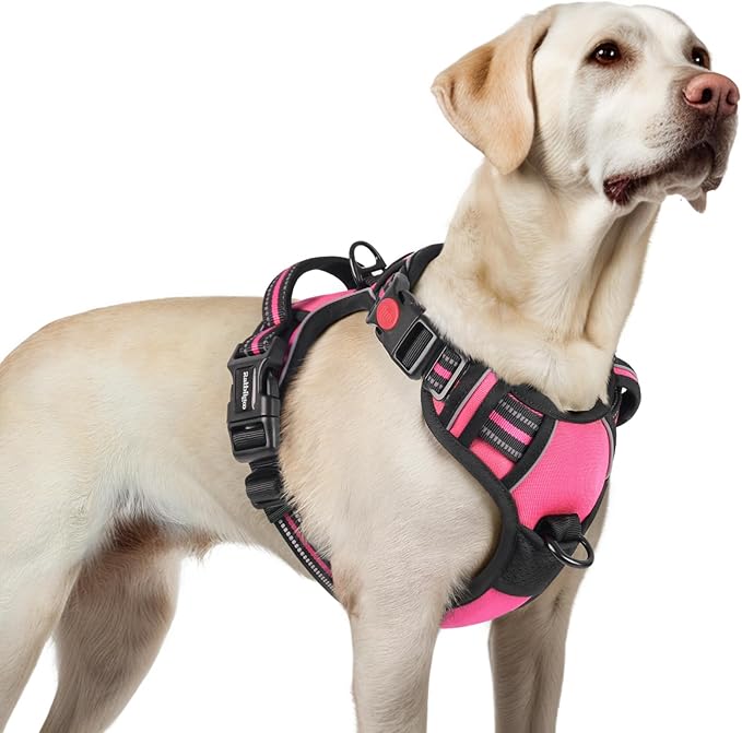 rabbitgoo Dog Harness for Large, No Pull Pet Harness with 3 Buckles, Adjustable Soft Padded Vest with Control Handle, Walking Reflective Pet Vest for Large Dogs, Rose Pink, L