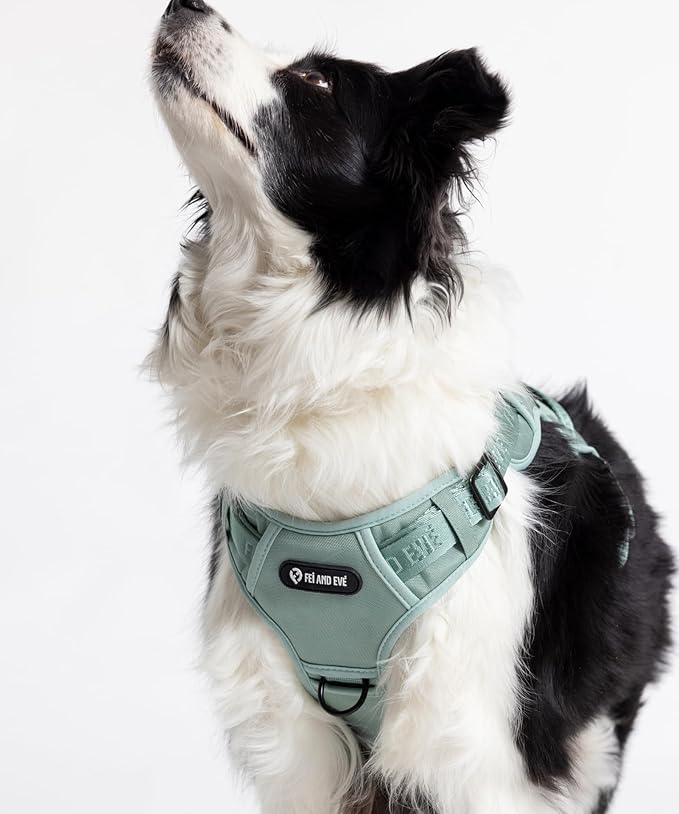 2025 New Edition, Fei & Eve MagEase Dog Harness - 3-Second Magnetic Buckles | 3-Point No-Pull Control | Heavy-Duty 900D Nylon | Dual Safety Handles | Breathable Mesh | Adjustable Fit | Medium, Green