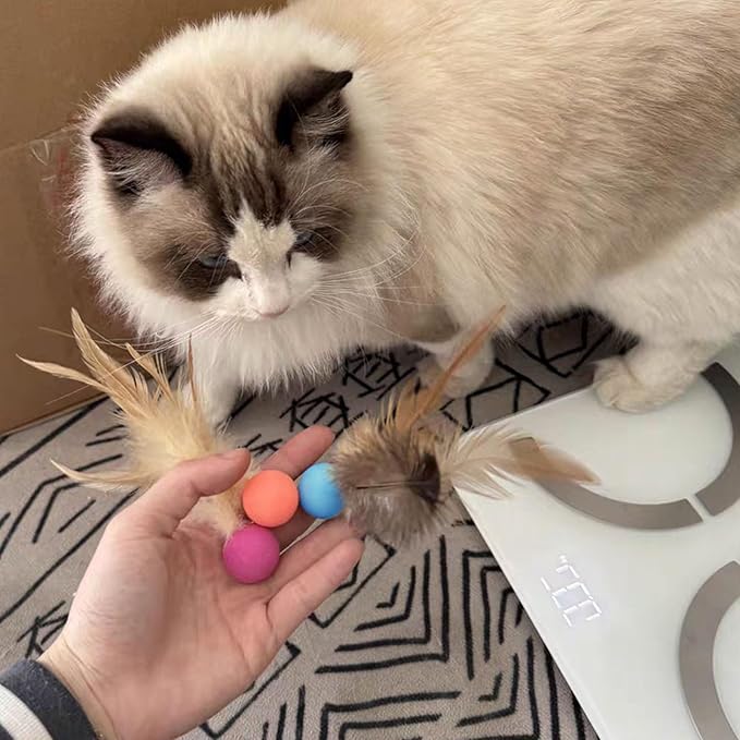 Cat Toys Balls with Feathers, 3 Pcs Interactive Cat Bouncy Balls for Indoor Cats and Playful Kittens, Rubber Kitten Ball Toys for Interactive Playing, Chase Training and Hunting Exercise