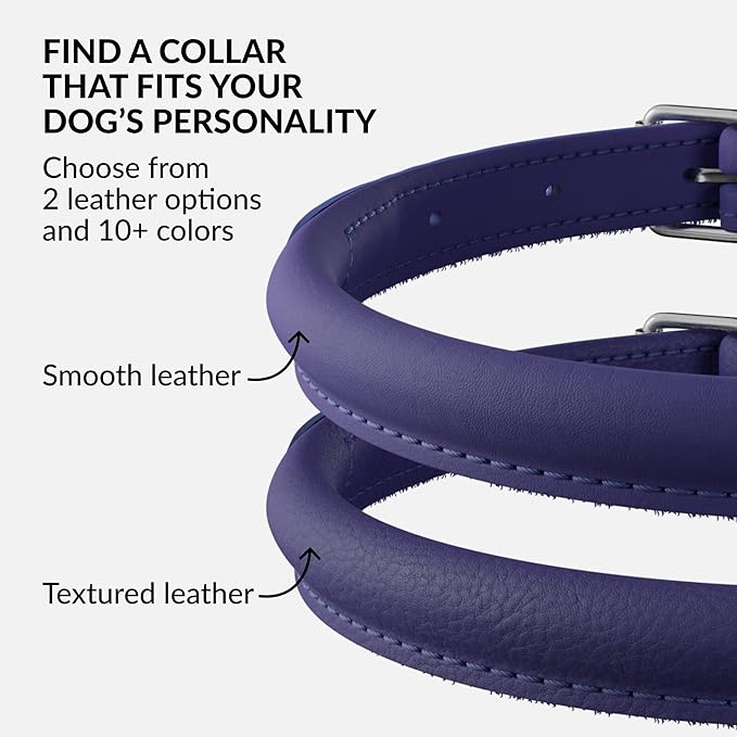 CollarDirect Rolled Leather Dog Collar, Soft Padded Round Puppy Collar, Handmade Genuine Leather Collar Dog Small Large Cat Collars 13 Colors (13-16 Inch, Purple Smooth)