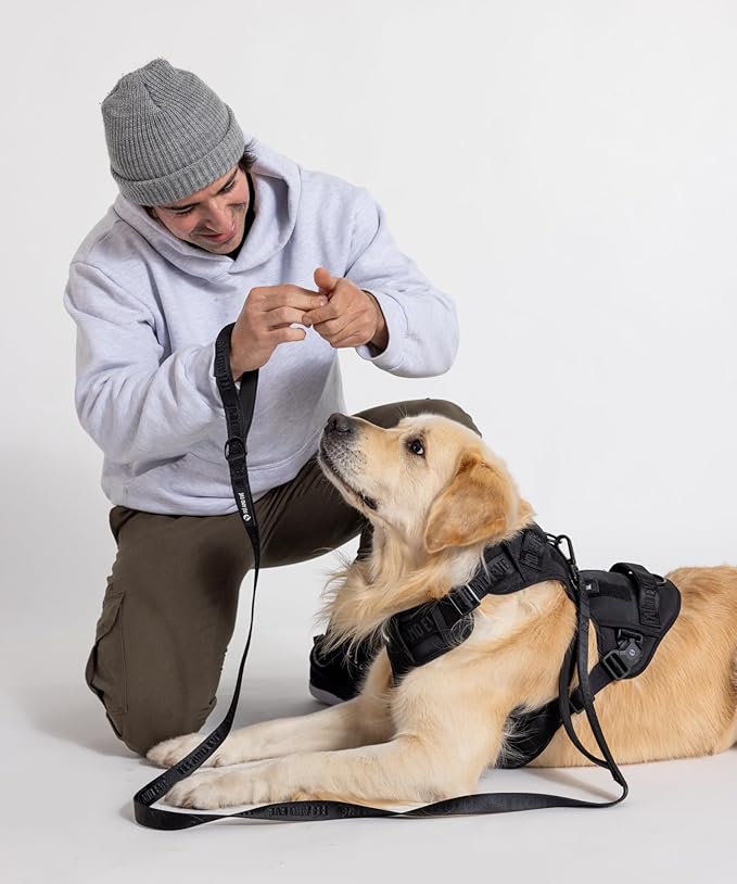 2025 New Edition, Fei & Eve MagEase Dog Harness - 3-Second Magnetic Buckles | 3-Point No-Pull Control | Heavy-Duty 900D Nylon | Dual Safety Handles | Breathable Mesh | Adjustable Fit | Small, Black