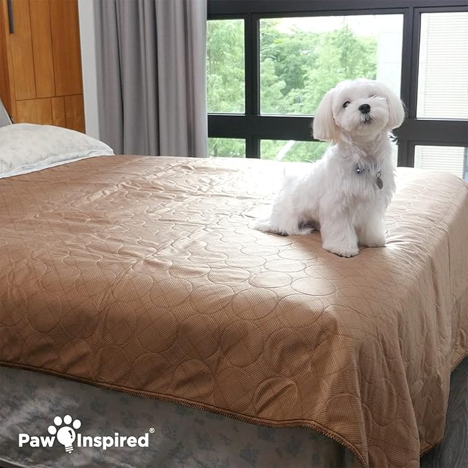 Paw Inspired Washable Pee Pad for Dogs | Leakproof, Non-Slip Reusable Puppy Pad for Potty Training, Whelping, Waterproof Mat (72x72 Size, Pack of 1)