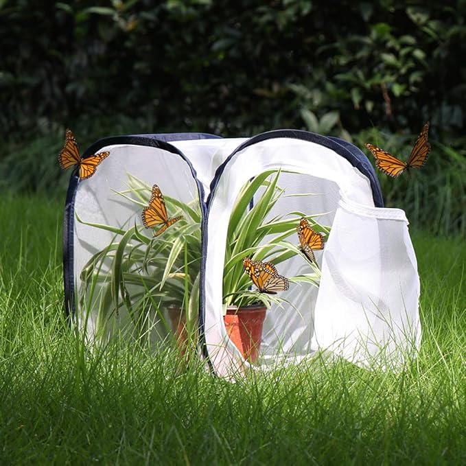 Insect and Butterfly Habitat Cage Terrarium Pop-up 12 X 12 X 12 Inches
