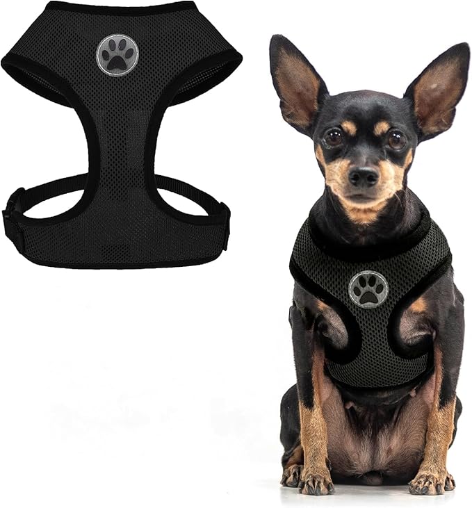 BINGPET Small Dog Harness - Breathable Mesh Puppy Cat Harnesses - No Pull Adjustable Dog Harness Dog Vest Harness for Small and Medium Dogs
