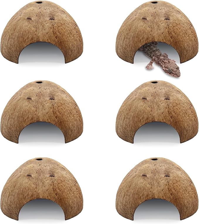 PINVNBY 6 PCS Natural Coconut Reptile Hideouts Lizard, Coco Hut Hermit Crab Hut Aquarium Fish Hide Cave for Small Reptile Crested Gecko Leopard Gecko Spider Snail Climber Toys