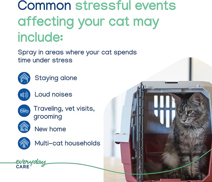 Virbac Zenifel Cat Spray for Managing Stress-Related Behaviors in Kittens & Cats - Quick-Acting - Ideal for Unexpected Stressful Situations - 1 Bottle