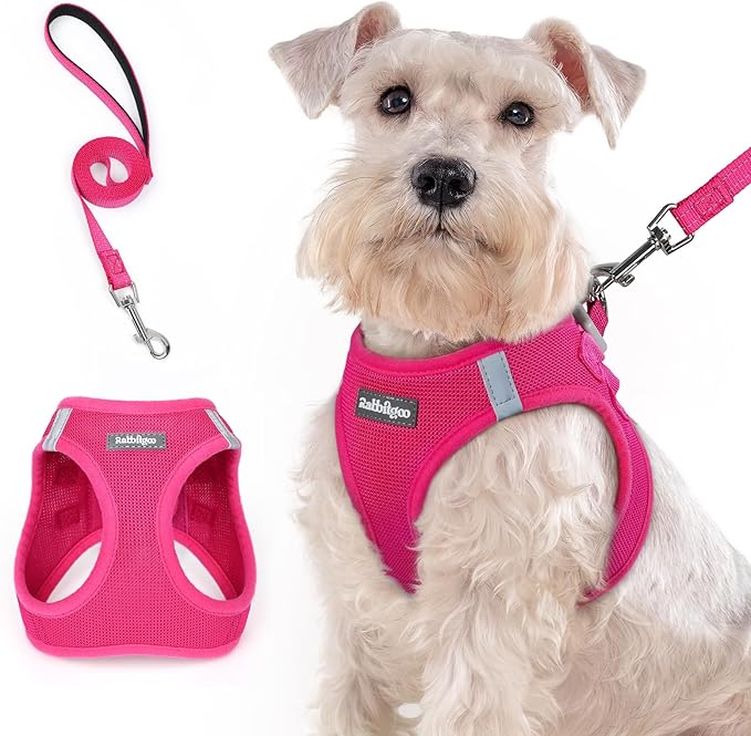 rabbitgoo Dog Harness Medium Sized and Leash Set, Step in Soft Light Puppy Vest, Breathable Mesh Pet Harness, Reflective for Safe Easy Walking, Rosa Red XXL