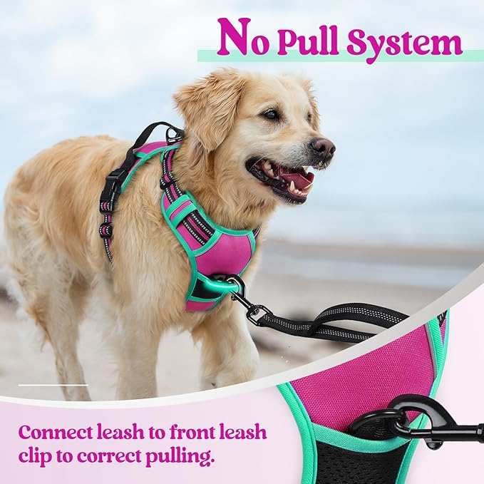 rabbitgoo Dog Harness No Pull with 2 Leash Clips, Adjustable Soft Padded, Reflective Oxford No Choke Pet Vest with Easy Control Handle for Large Dogs, Hot Pink & Turquoise, L