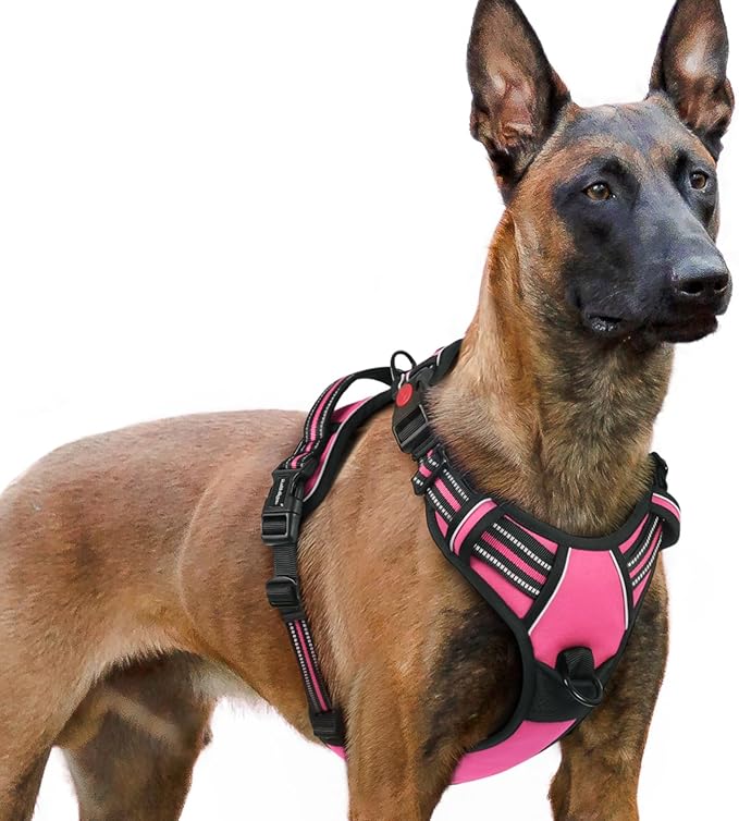 rabbitgoo Dog Harness for Large, No Pull Pet Harness with 3 Buckles, Adjustable Soft Padded Vest with Control Handle, Walking Reflective Pet Vest for Extra Large Dogs, Rose Pink, XL
