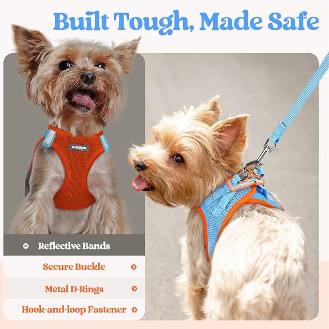 rabbitgoo Dog Harness Small Sized and Leash Set, Step in Soft Light Puppy Vest, Breathable Mesh Pet Harness, Reflective for Safe Easy Walking, Blue & Orange S