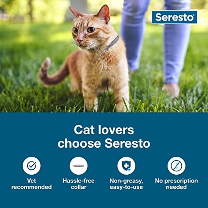 Seresto Cat Vet-Recommended Flea & Tick Treatment & Prevention Collar for Cats, 8 Months Protection | (Pack of 2)