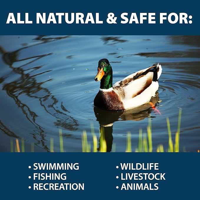 Airmax PondClear Packets, Beneficial Bacteria & Enzyme Clarifier Treatment with Ecoboost PRx, Clear & Clean Pond & Lake Water, Safe for Fish, 24 Count