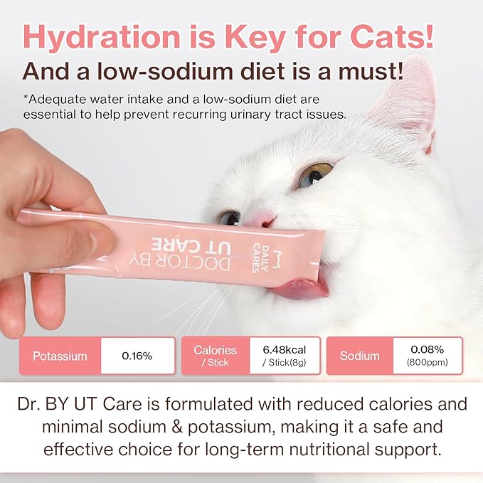 Dr.by UT Care Cat UTI Kidney Support Urinary Supplement Cranberry Treatment for Cats Renal Health with Pacran, Quercetin, Taurine lickable Formula Individually Packaged (1 Pack)