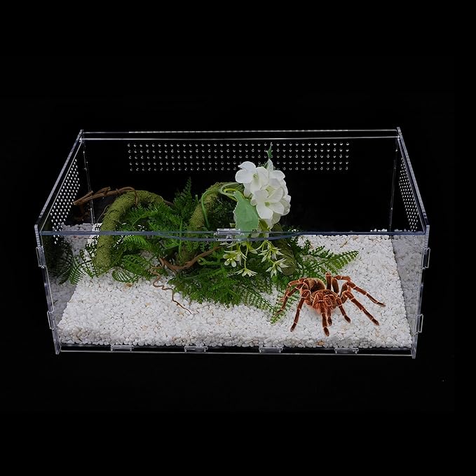 Micro Habitat Terrarium Enclosure, Jumping Spider Enclosure with Locking Latch for Small Tree Dwelling Reptiles,Tarantula, Amphibians, Spiders,Invertebrates (6x8x14 inxh)