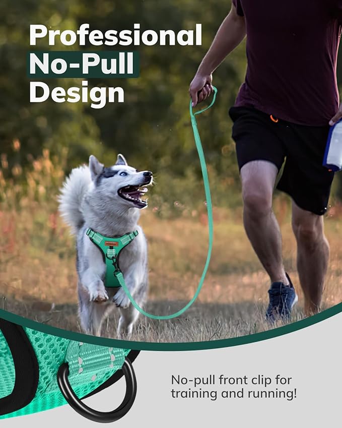 MIDOG No-Pull Dog Harness | Adjustable & Reflective Pet Harness Leash Set for Small Medium Large Dogs Walking, Training| No Choke, Front Clip, Soft Padded Vest with Easy Control Handle - Green, M