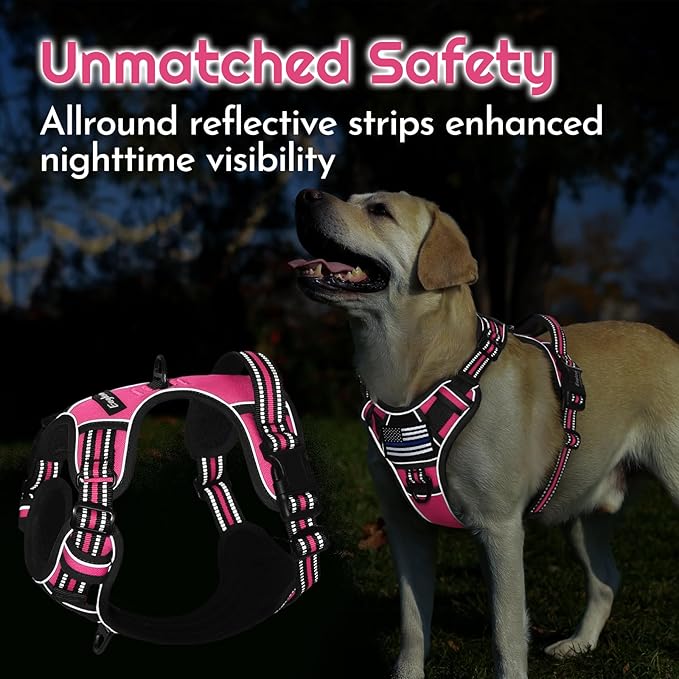 Eagloo Dog Harness Small Sized, Easy Wearing with 3 Buckles, Adjustable No Pull Pet Harness with 2 Rings for Walking, No Chock Reflective Soft Padded Vest with Control Handle, Pink & Black, S