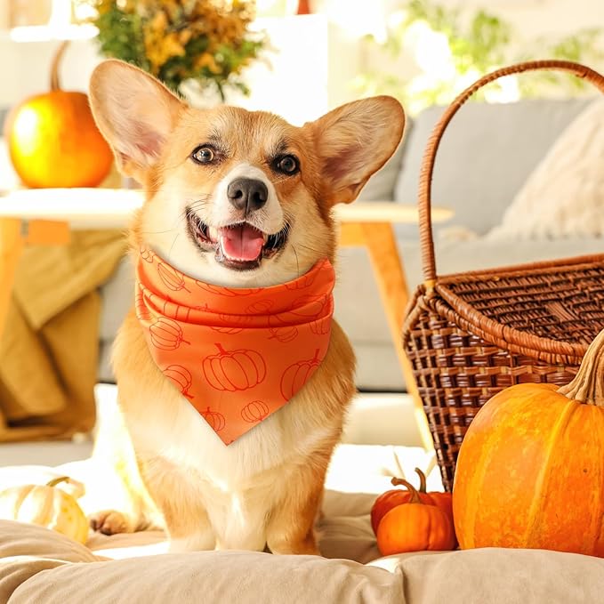 Chunful 100 Pieces Fall Dog Bandanas Bulk Autumn Pet Bandanas with Pumpkin Patterns Triangle Scarf Bib Kerchief Set for Small Large Dog Thanksgiving Costume Accessories (25.6 x 17.7 x 17.7)