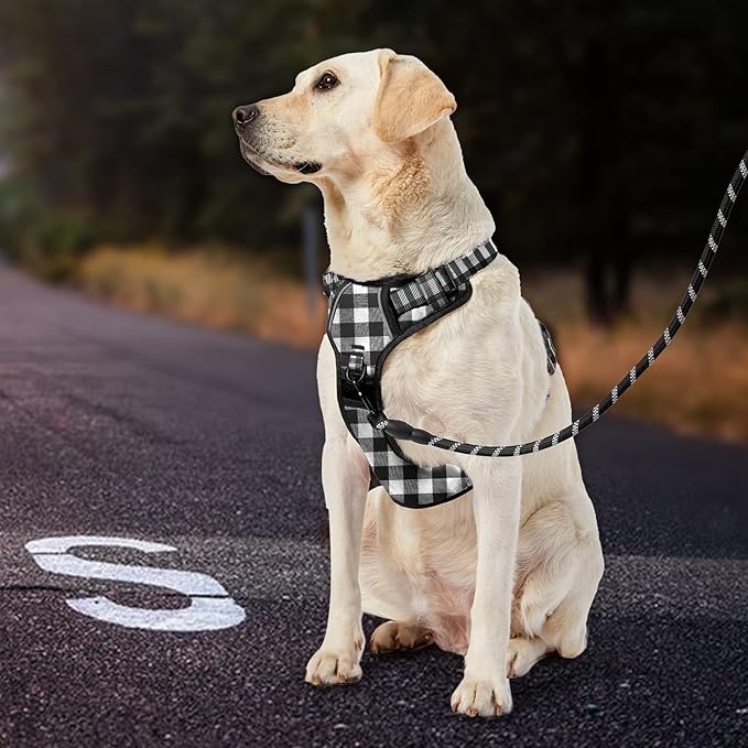 IVY&LANE No Pull Dog Harness with Leash Set, Reflective No Choke Pet Vest,Adjustable Oxford Dog Vest Harness with Easy Control Handle for Small Dogs (Checkered Black,S)
