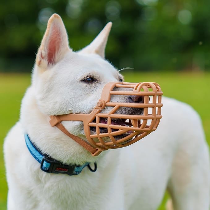 Baskerville Classic Basket Muzzle - Dog can Pant and Drink, Prevents Biting and Food Waste Scavenging, Strong TPR, Ideal for Longer Nosed Dogs, Breathable Dog Training Muzzle for Medium Dogs (Size 5)