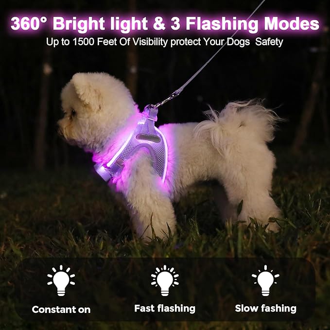 Light Up Dog Harness,Rechargeable LED Dog Harness for Small Medium Large Dogs,Reflective Lighted Safety Vest for Night Walking & Camping,Lightweight & Adjustable,Lavender Purple,L
