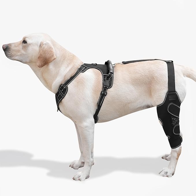 Dog Knee Brace with Adjustable Support – ACL & CCL Tear Recovery, Post-Surgery Stabilization, Mobility Aid for Rear Legs – Includes Secure Chest Harness for Dogs(Left,L)