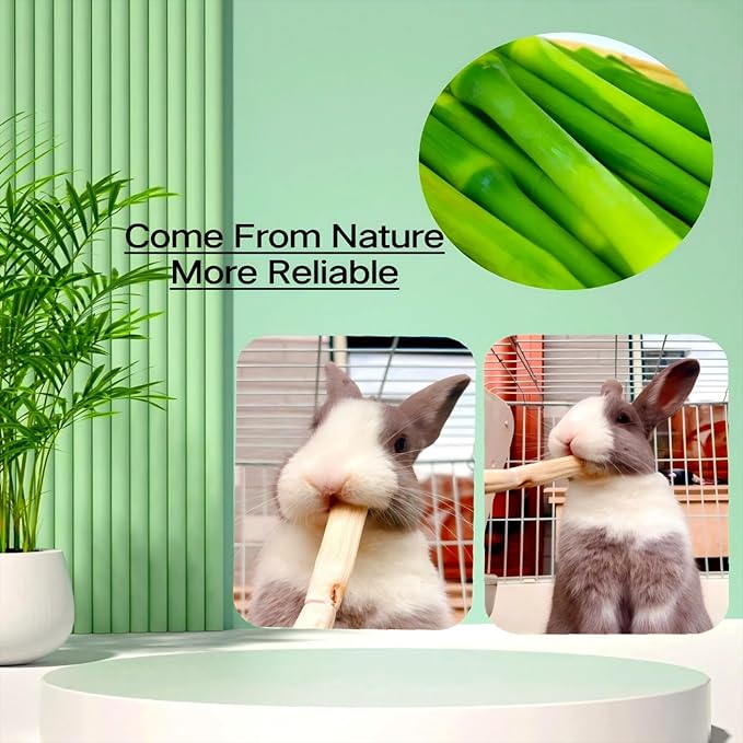 700g/1.5lb Sweet Bamboo Sticks for Rabbits Bunny Chew Toys,Chinchilla Molar Treats Chew Sticks for Small Animals Rabbits Hamsters Guinea Pigs
