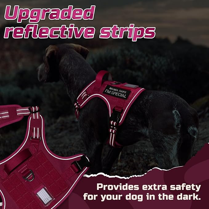 rabbitgoo Tactical Dog Harness for Small Dogs, No Pull Military Service Vest with Handle & Molle, Easy Control for Training Walking, Adjustable Reflective Straps, Rose Red, S