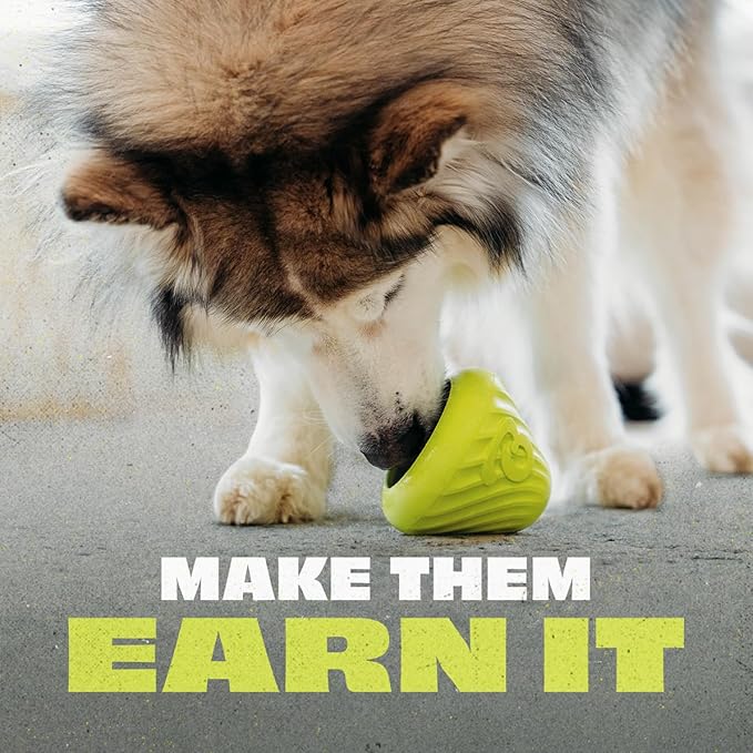 Benebone Natural Rubber Cone Interactive Enrichment Treat Dispensing Dog Toy - Slow Feeder - Great for Meals and Boredom