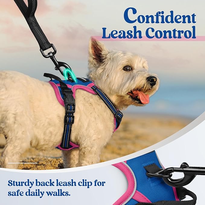 rabbitgoo Dog Harness No Pull with 2 Leash Clips, Adjustable Soft Padded, Reflective Oxford No Choke Pet Vest with Easy Control Handle for Large Dogs, Blue & Hot Pink, XS