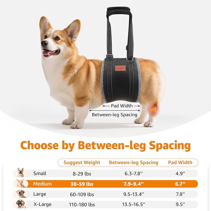 LOOBANI Portable Dog Sling for Back Legs, Hip Support Harness to Help Lift Dogs Rear for Canine Aid and Old K9 Cruciate Ligament Rehabilitation