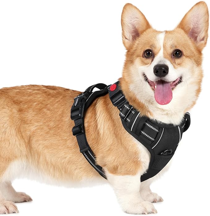 rabbitgoo Dog Harness Small Sized, No Pull Pet Harness with 3 Buckles, Adjustable Soft Padded Vest with Control Handle, Walking Reflective Pet Vest for Small Dogs, Black, S