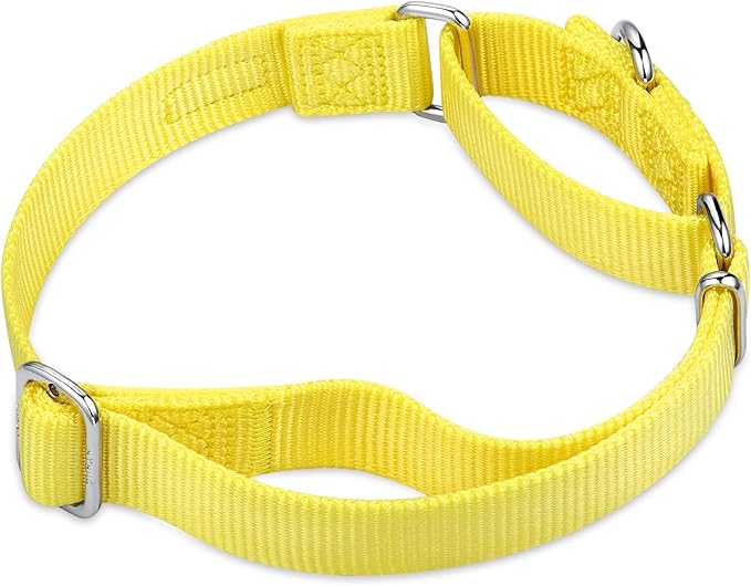 Hyhug Pets Premium Upgraded Heavy Duty Nylon Anti-Escape Medium Martingale Collar for Boy and Girl Dogs Comfy and Safe - Professional Training, Daily Use Walking. (Medium, Illuminating Yellow)