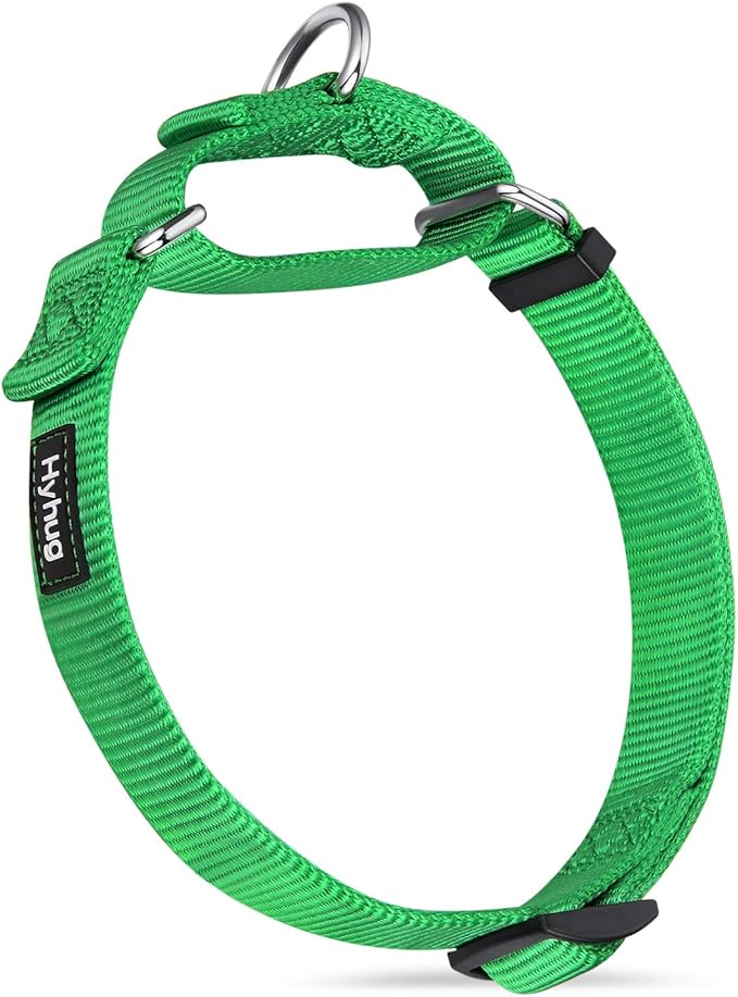 Hyhug Martingale Dog Collar Without Buckle: Anti Escape, No Slip Heavy Duty Nylon, Colorfast Adjustable Pet Supplies for Medium Breeds(Medium, Lime Green)
