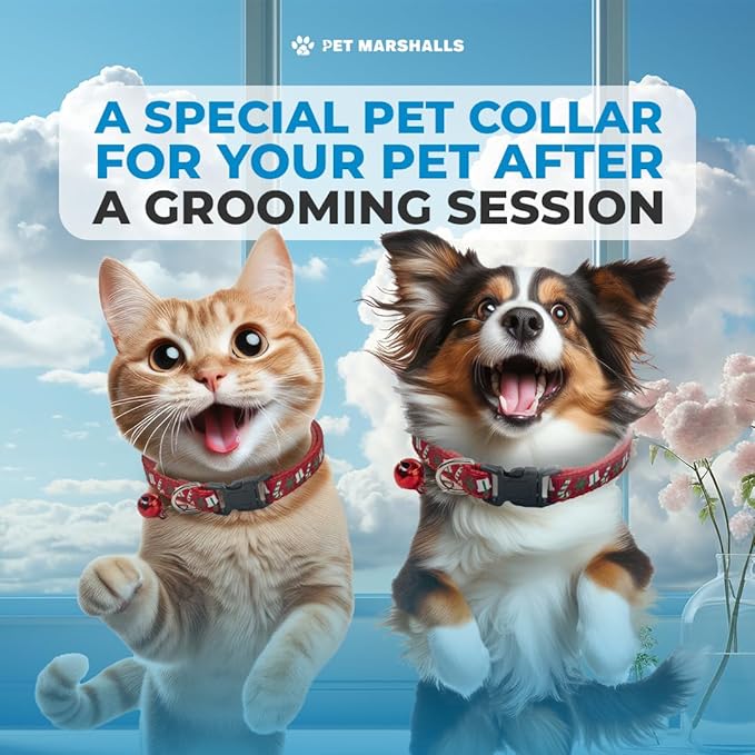 Pet Grooming Brushes Kit - 6-in-1 Complete Grooming Accessories for Deshedding, Detangling, and Dematting including Nail Clipper and File