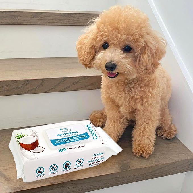 Best Pet Supplies Pet Wipes for Dogs - Dog Wipes Cleaning Deodorizing, for Coats, Ears, Paws - Moisturizing, Coconut, 100 Count