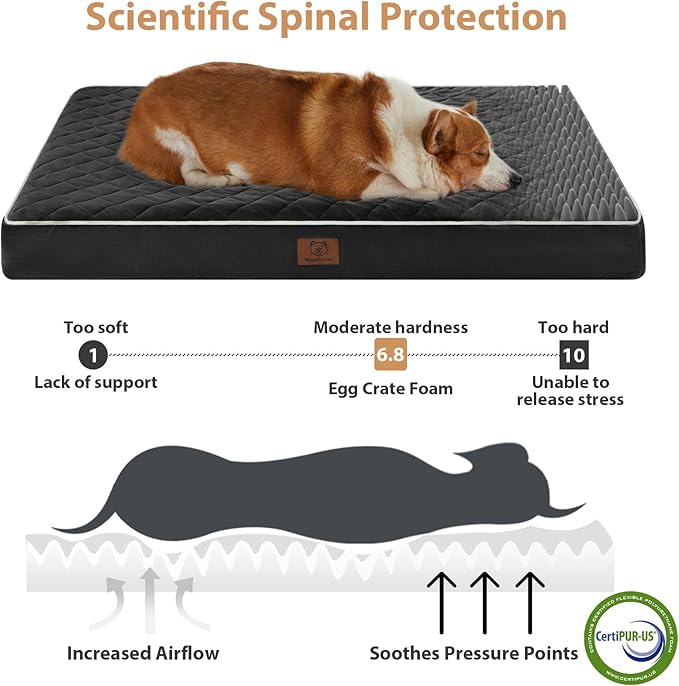 WNPETHOME Orthopedic Dog Bed Medium Size Dog, Waterproof Medium Dogs Bed with Removable Washable Cover, Multi-Needle Quilting Dogs Crate Bed