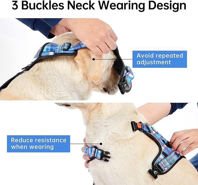IVY&LANE No Pull Dog Harness with Leash Set, Reflective No Choke Pet Vest,Adjustable Oxford Dog Vest Harness with Easy Control Handle for Medium Lagre Dogs (Checkered Blue,M)