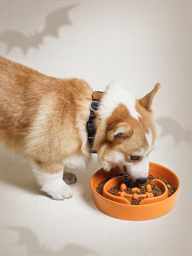 LE TAUCI Ceramic Puzzle Feeder Elevated 3 Cup with Wood Stand for Small Medium Dog & Puppy, Fast Eater Raised Dish Pumpkin Orange