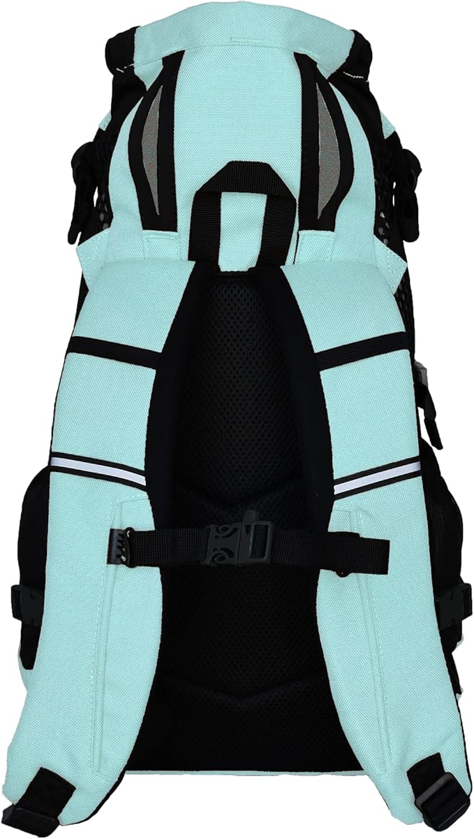 K9 Sport Sack Plus 2 - Small, Summer Mint - Ideal for Dogs 13-16” Long - Adjustable, Backpack-Style Carrier with Multi-Functional Storage Pack, Thick Shoulder Straps & Padded Back Panel