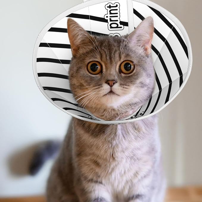 Custom Cat Recovery Suit Kit Lick Prevention Pet Recovery Collar for Wound Care Safety Elizabethan Collar