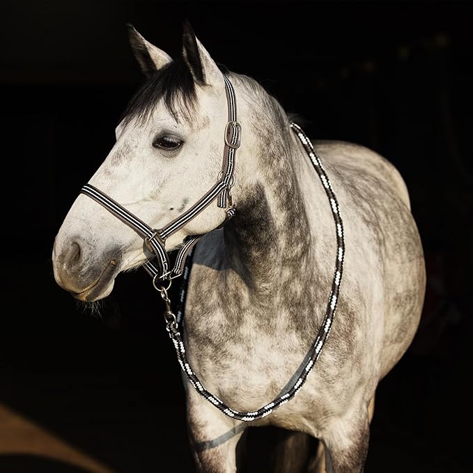 HORZE Adepto Adjustable Horse Halter | Soft, Durable Polyester - Dark Navy - Cob