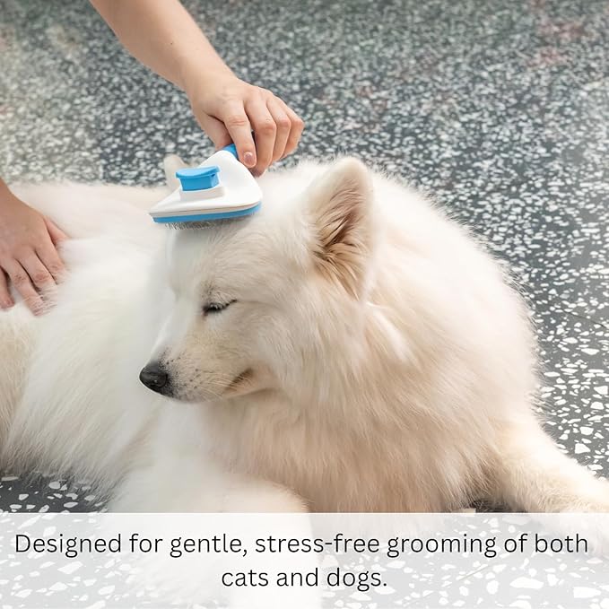 AIXINPET Cat & Dog Self Cleaning Slicker Brush - Easy to Remove Loose Fur, Harmless Deshedding Grooming Tool, Massaging Function - Suitable for Shedding & Furry Pets, like Rabbits and Ferrets