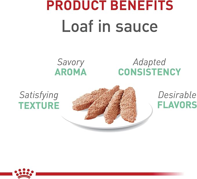 Royal Canin Feline Care Nutrition Digestive Care Loaf in Sauce Canned Cat Food, 5.1 oz can (24-count)