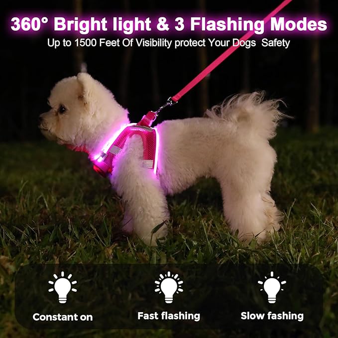 Light Up Dog Harness,Rechargeable LED Dog Harness for Small Medium Large Dogs,Reflective Lighted Safety Vest for Night Walking & Camping,Lightweight & Adjustable,Pink,XS